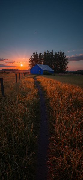 file_101486716