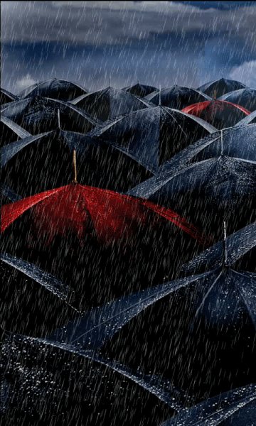 umbrellara yicu0znR