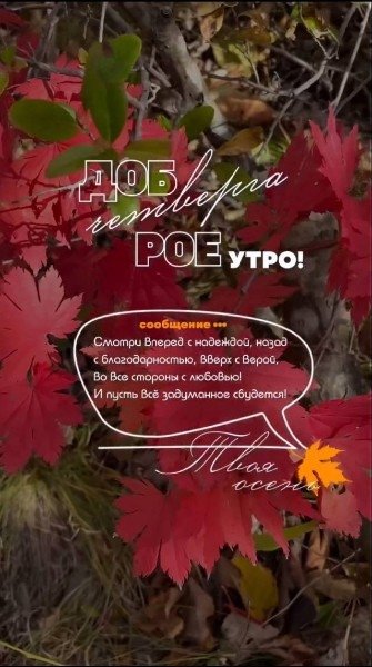 file_94950950