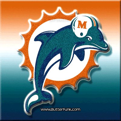 0 nfl football miami dolphins
