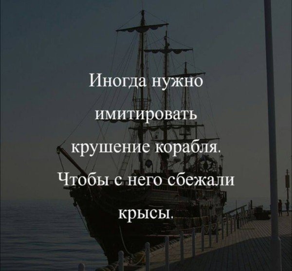 file_94800602