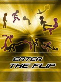 enter the flip