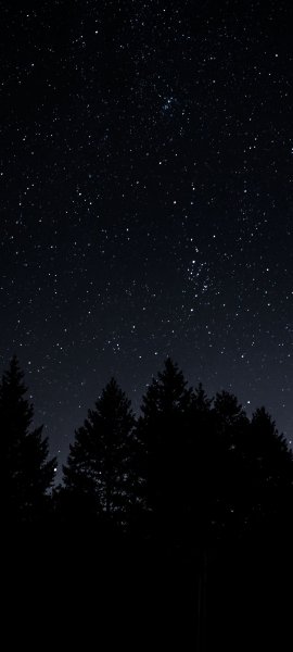 file_96629950