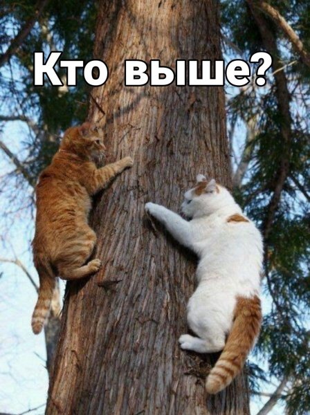 file_90256623
