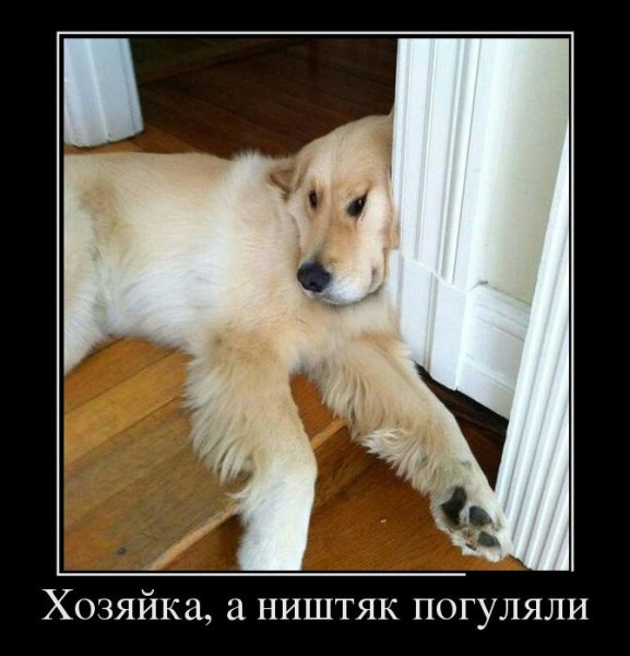 Погуляли
