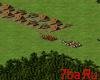 Invasion