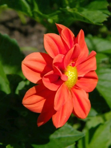 file_96291716