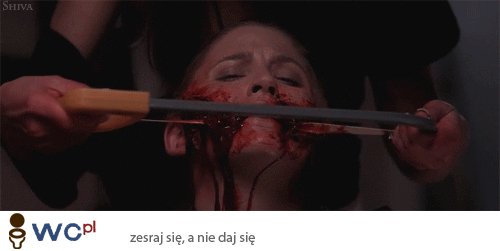 obrazek yapfiles.ru
