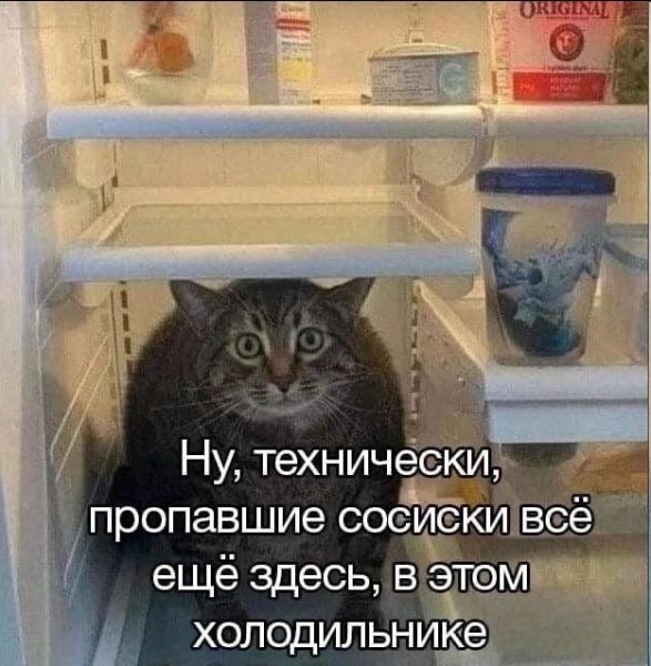 file_103298419