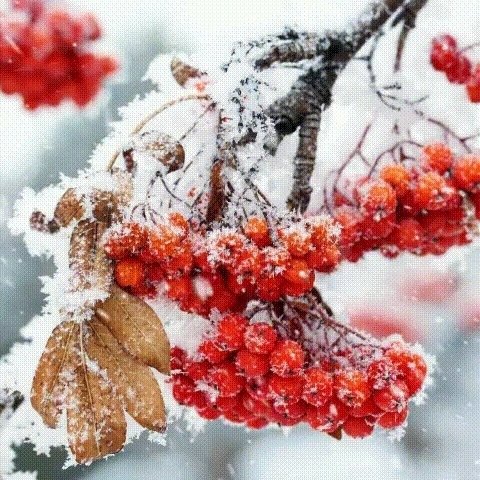 file_95105184