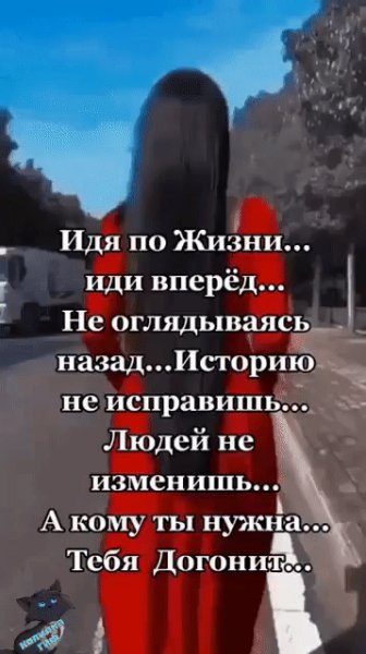 IMG 20240304 030312