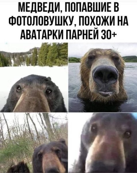 file_103302930