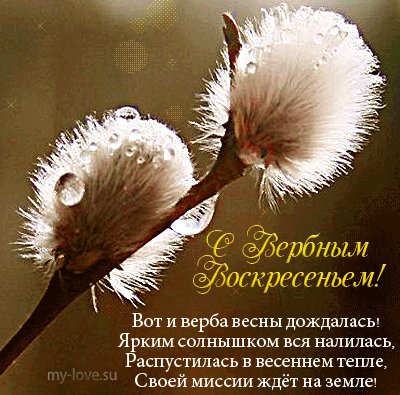 IMG 20260405 192802