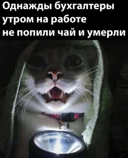 FB IMG 1778837831382