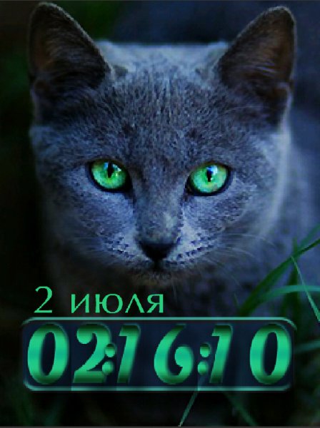 Киса