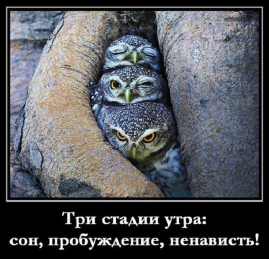 3 стадии утра...