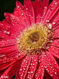 file_59059031