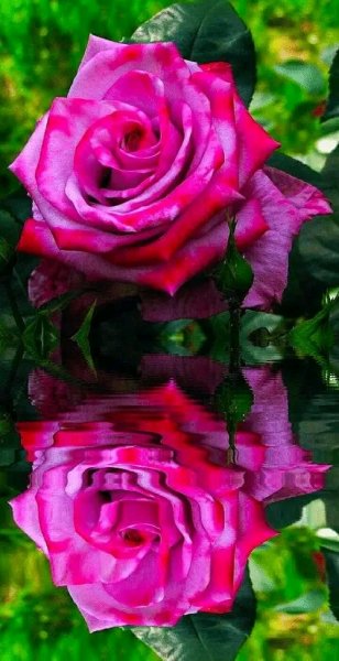 file_95693075