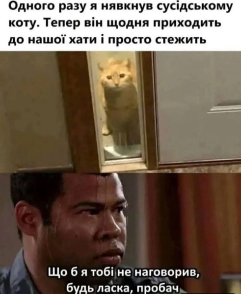 FB IMG 1778146914525