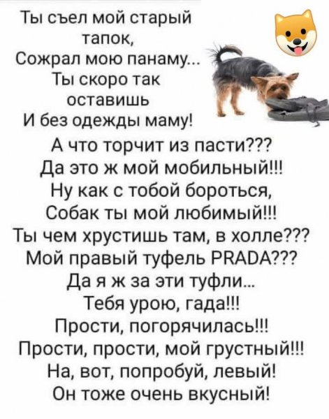 FB IMG 1778146016331