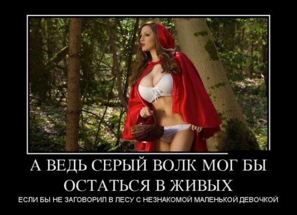 А ведь серый волк