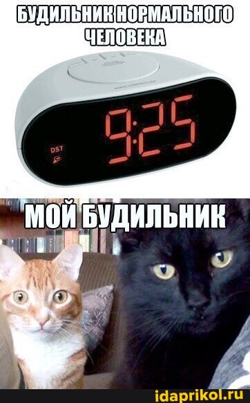 2b81a367c6f8b52cb4d1bc4ce96bd07193b71ef7c5e 1