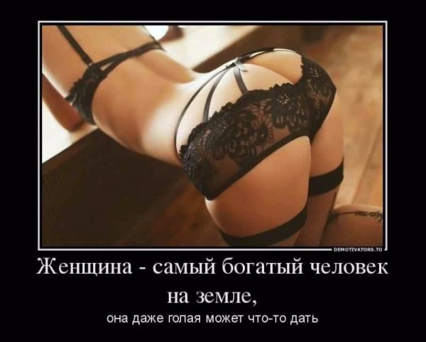 file_74511524