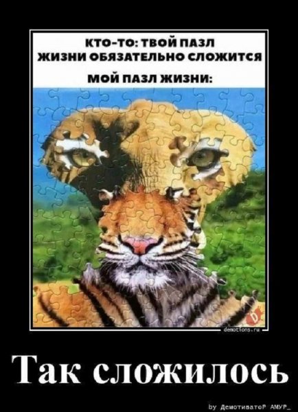 Так сложилось