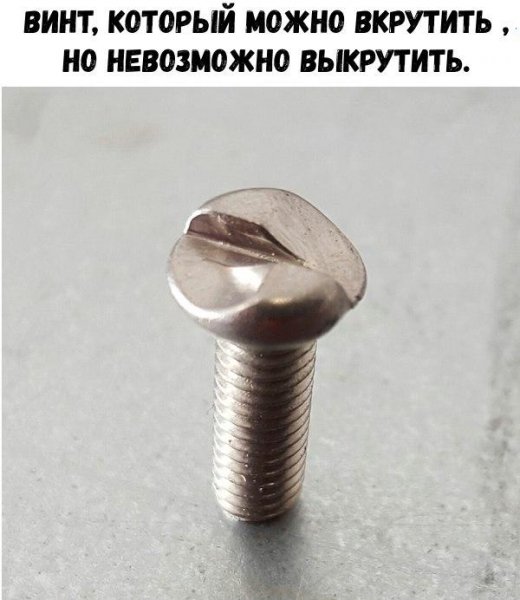 винт