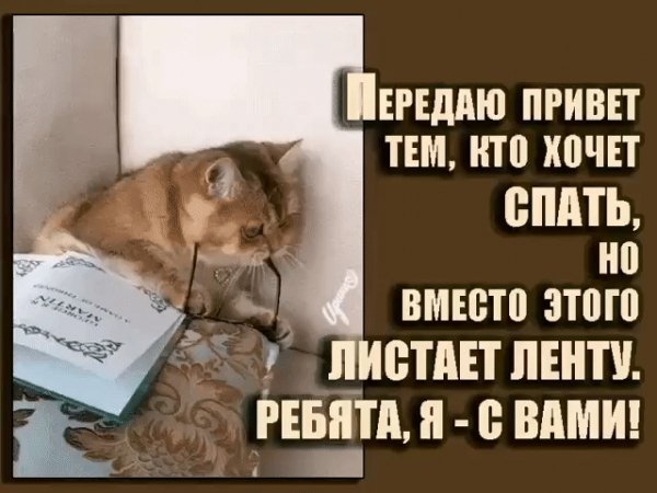 file_79634668