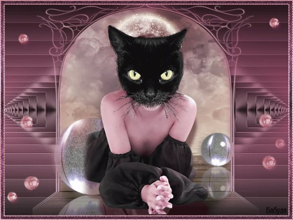 Женщина кошка