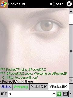 pocketirc13