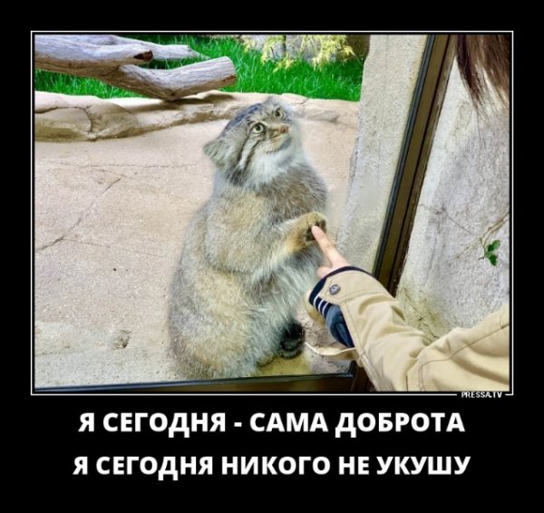 file_78846249