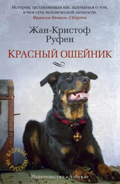 Rufen Krasnyy-osheynik