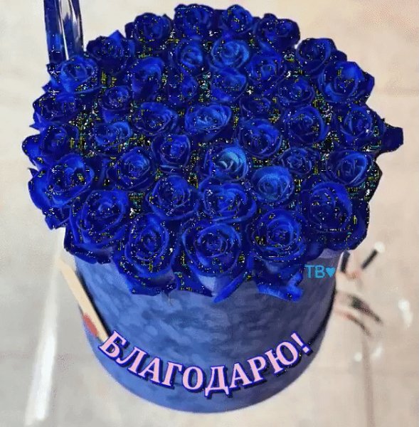 IMG 20210709 164034