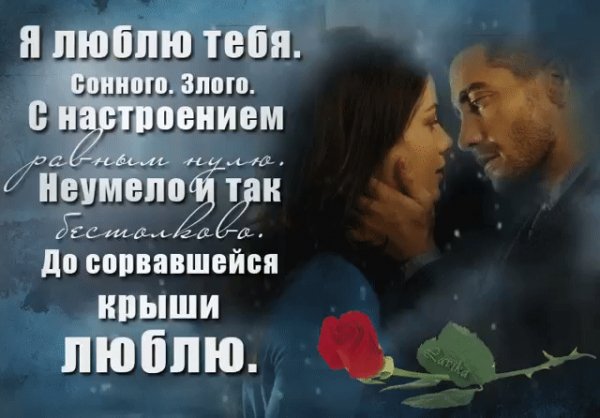 image (8)