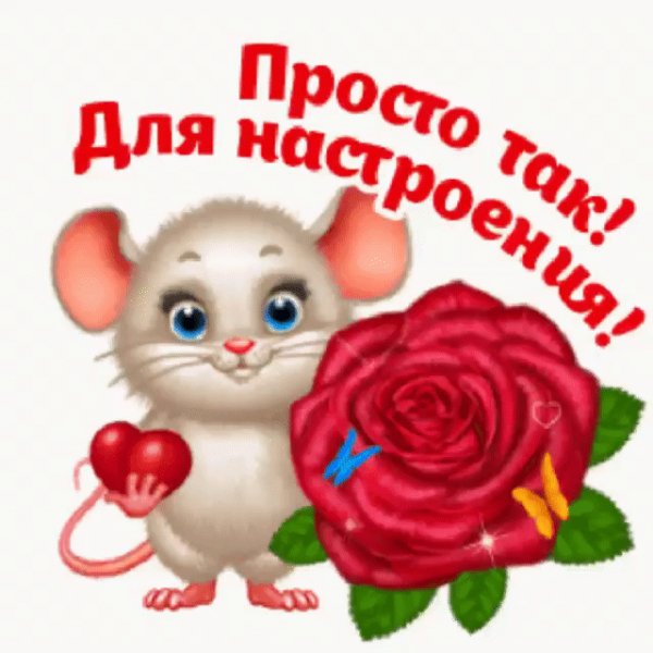 gif 1605364839