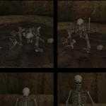 Skeletons