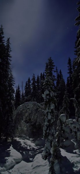 file_95992697