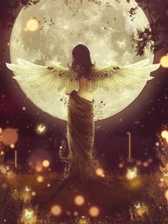 Lonely angel