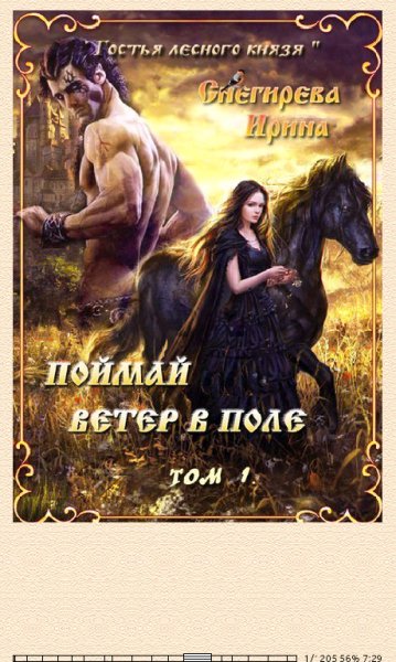 И.Снегирёва. Поймай ветер в поле (S