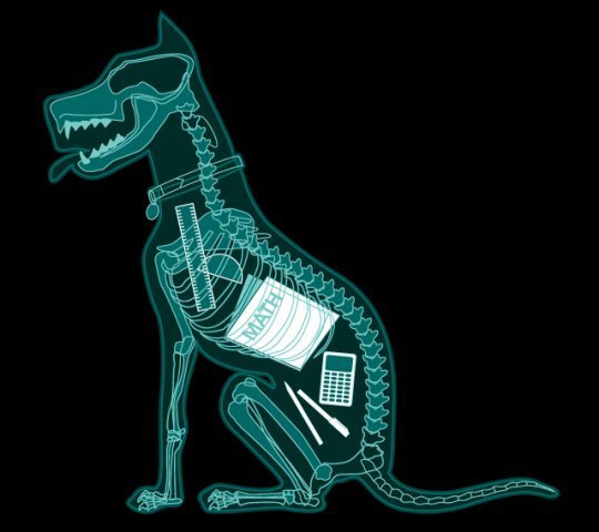 X ray Dog - Howlin' Al Night