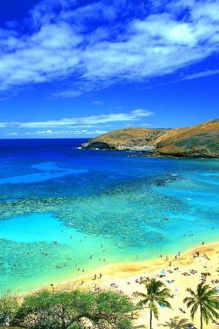 file_52033575