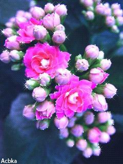 file_49785626
