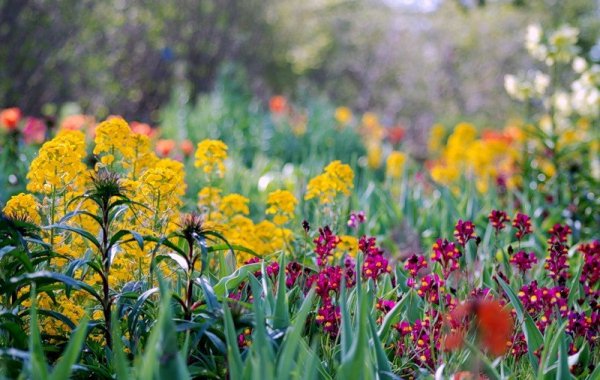 file_57772041