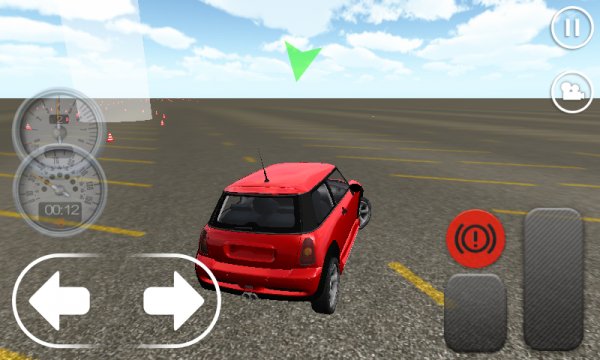 Slalom Racing Simulator