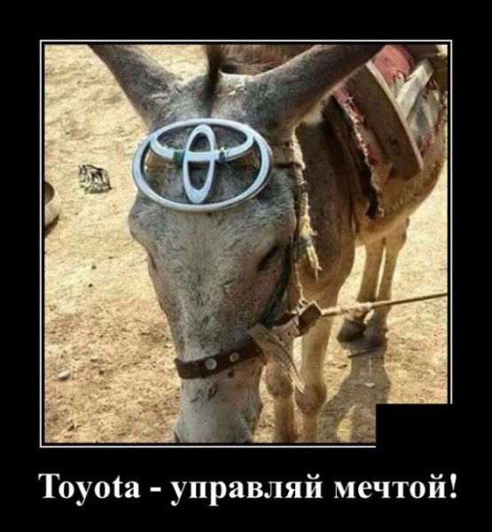 file_79683607