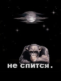 Бессонница
