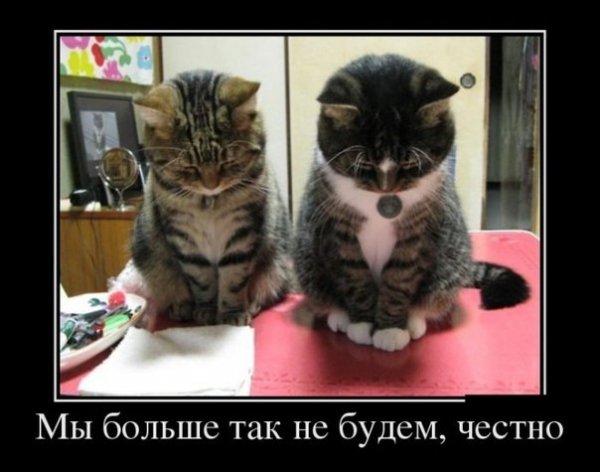 file_82197060