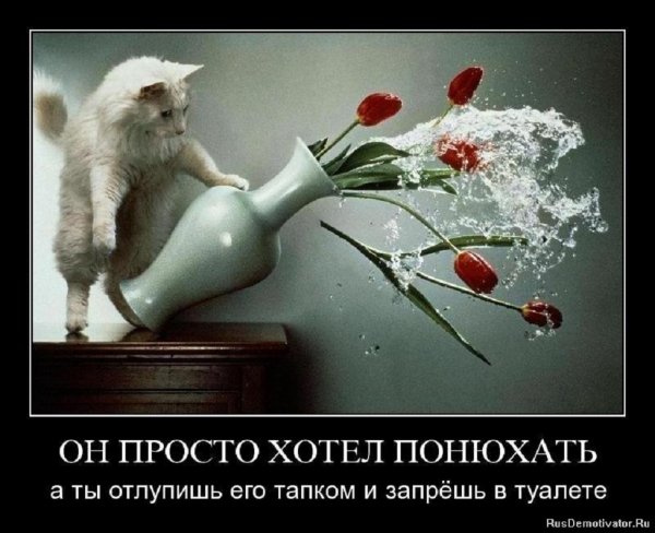 Он просто хотел понюхать